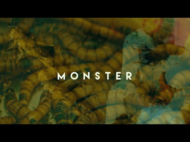 Hanybal - Monster