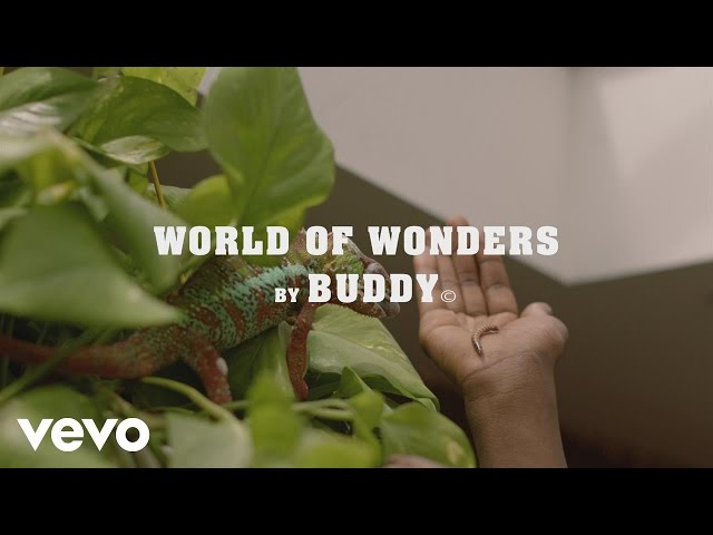 Buddy, Kaytranada - World of Wonders