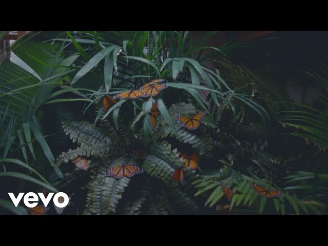 Calvin Harris - Cash Out (Official Audio) ft. ScHoolboy Q, PARTYNEXTDOOR, D.R.A.M.