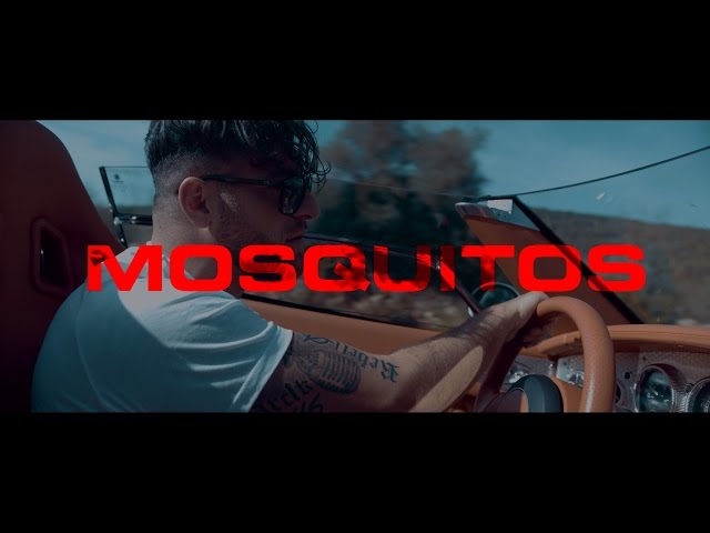 KC Rebell - Mosquitos