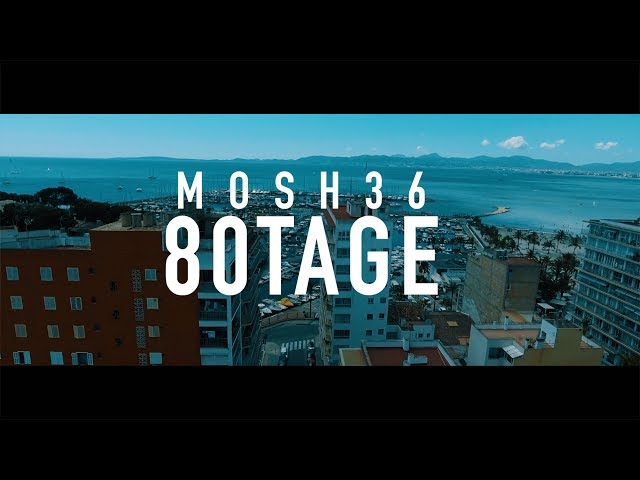 Mosh36 - 80 Tage